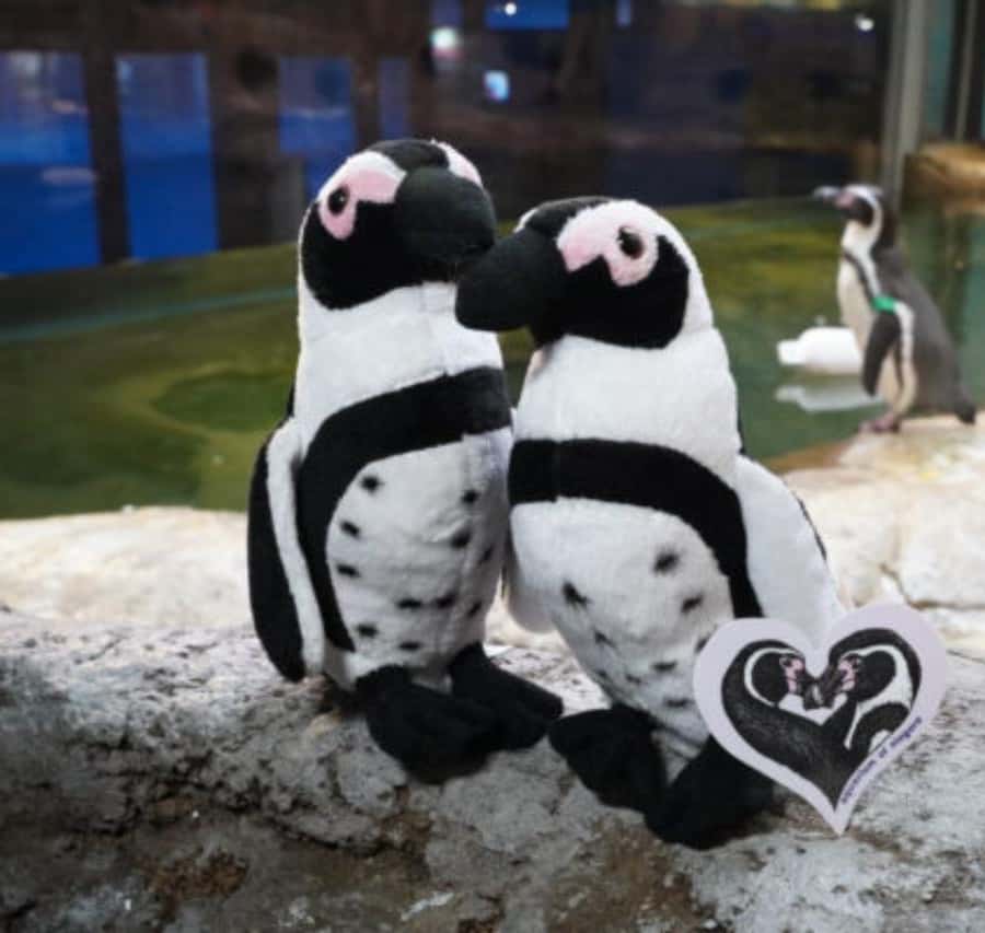 メディア コラージュ