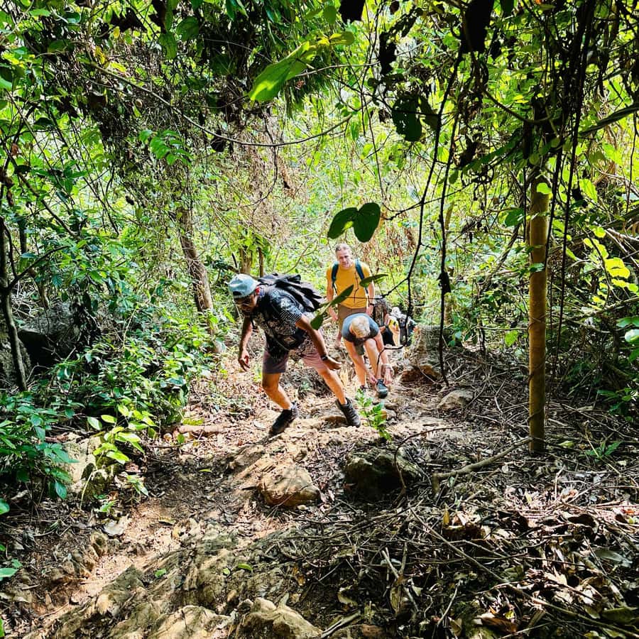 Nous Petit VÃ©lo BÃ©bÃ© Parc National De Cat Ba Trekking Et