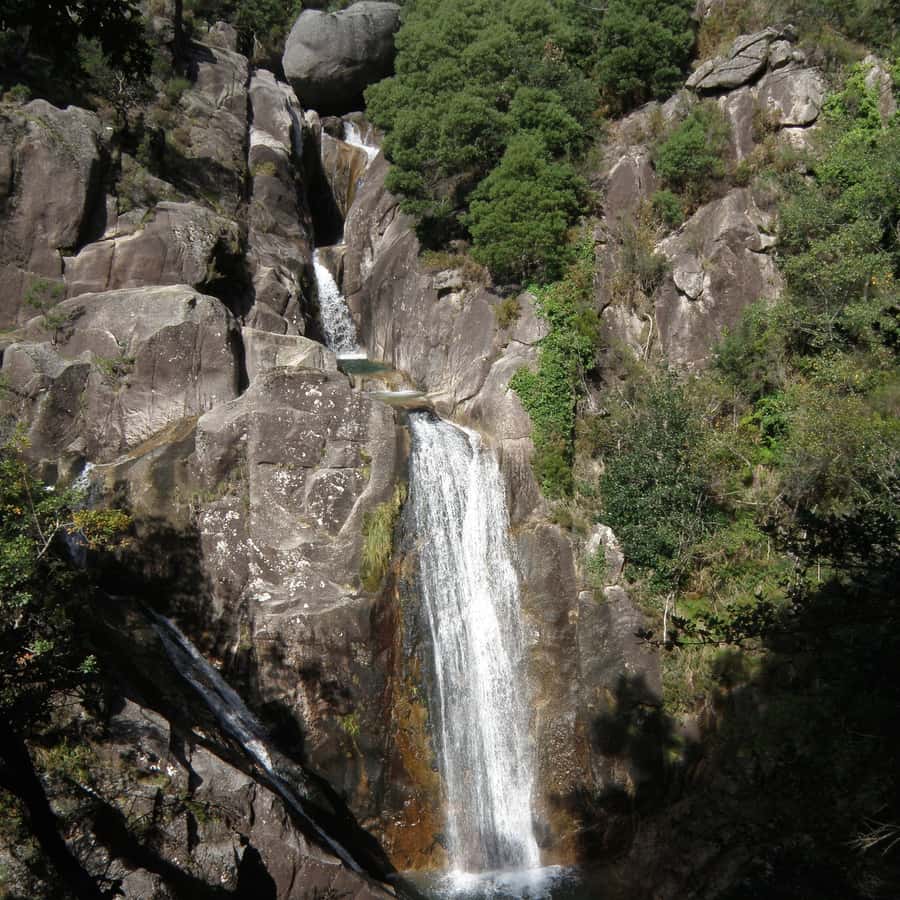 Colagem de mídia