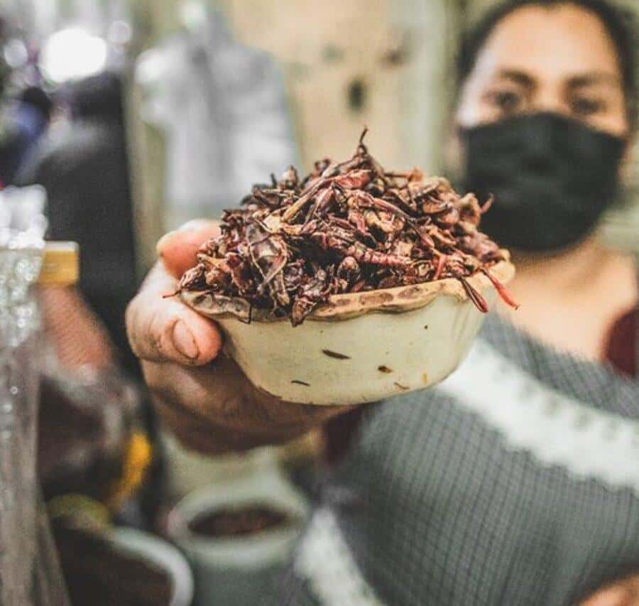 Galería de fotos para redes