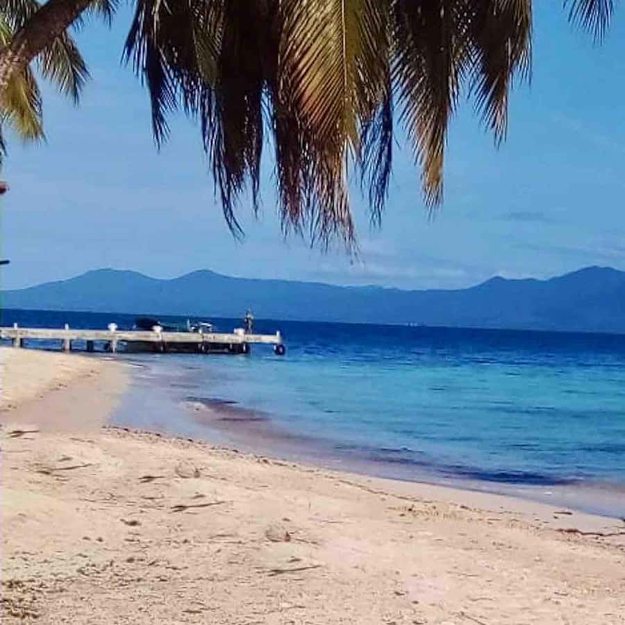 Galería de fotos para redes
