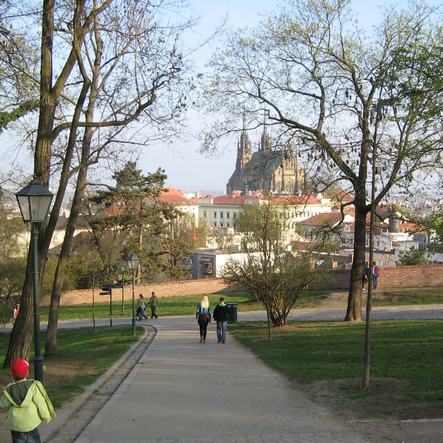 Kolaż medialny