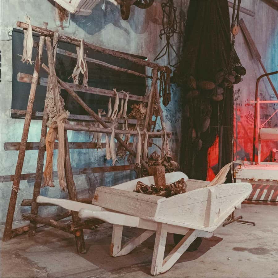 Galerie média