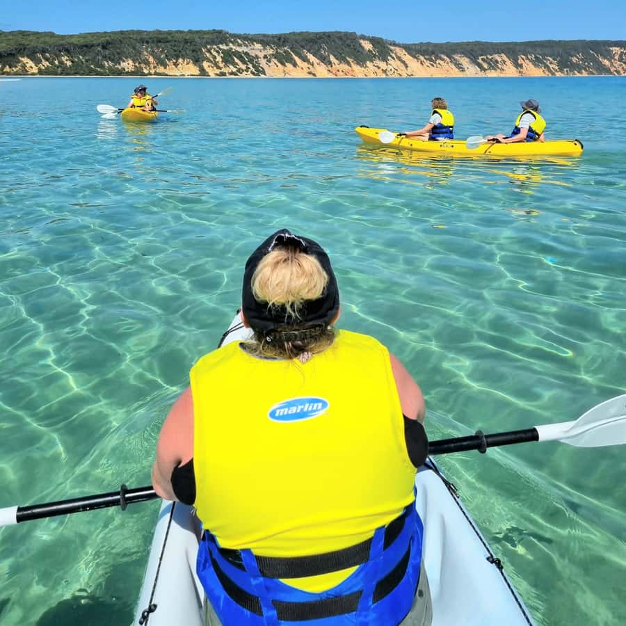 Noosa: Dolphin Sea Kayak & Beach 4X4 Tour (in National Park)