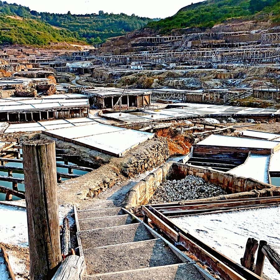 Galería de fotos para redes