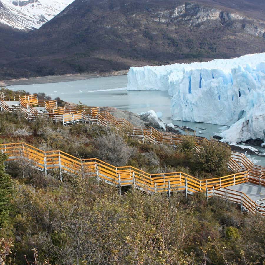 Galería de fotos para redes