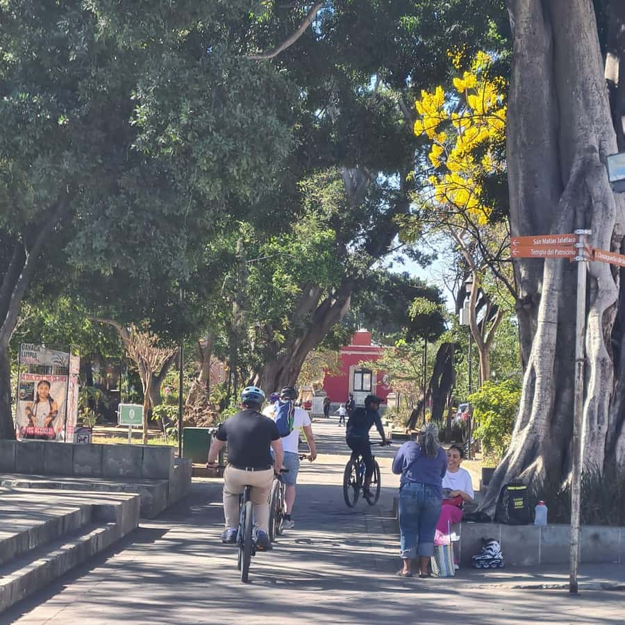 Galería de fotos para redes