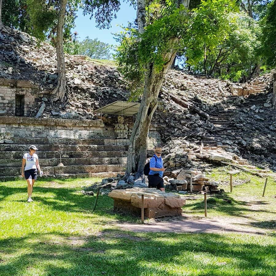 Desde San Pedro Sula: Ruinas mayas de Copán, excursión de un día |  GetYourGuide, image size:900x900