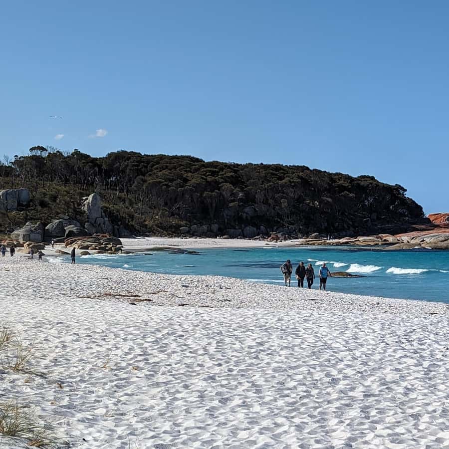 From Hobart: The Ultimate 10-Day Tour of Tasmania's Regions