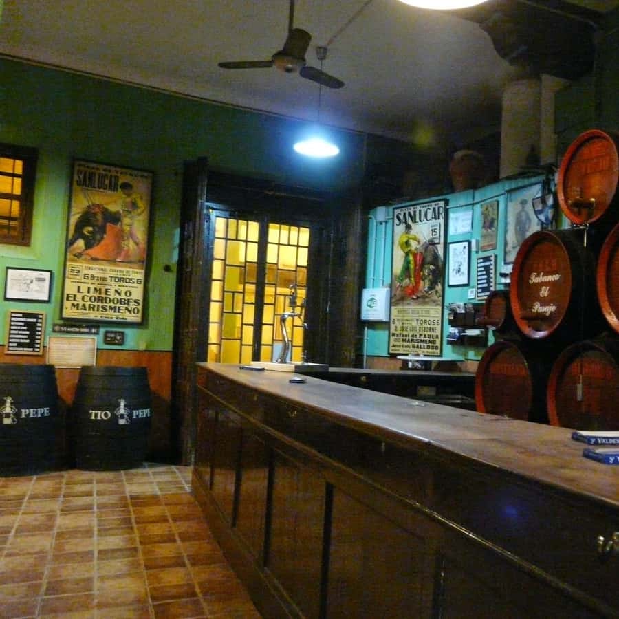 Galería de fotos para redes