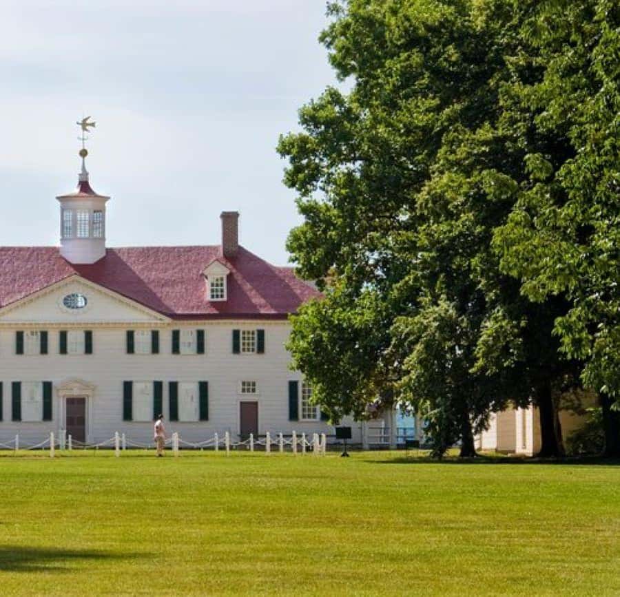 Washington DC: Mount Vernon Half-Day Tour