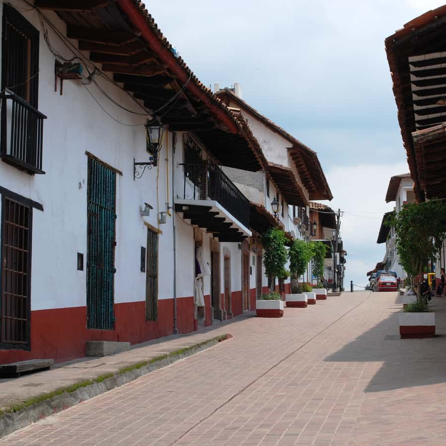Galería de fotos para redes