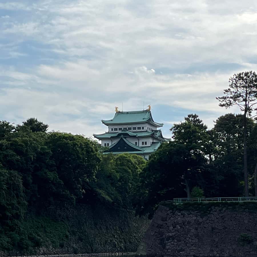 メディア コラージュ