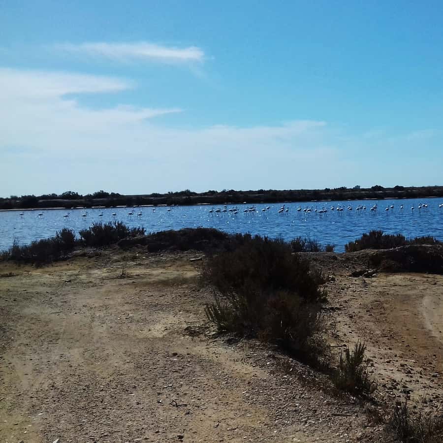 Colagem de mídia