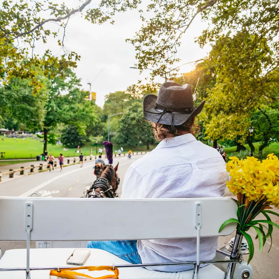 NYC: Guided Central Park Horse Carriage Ride