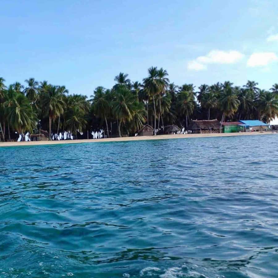 Galería de fotos para redes