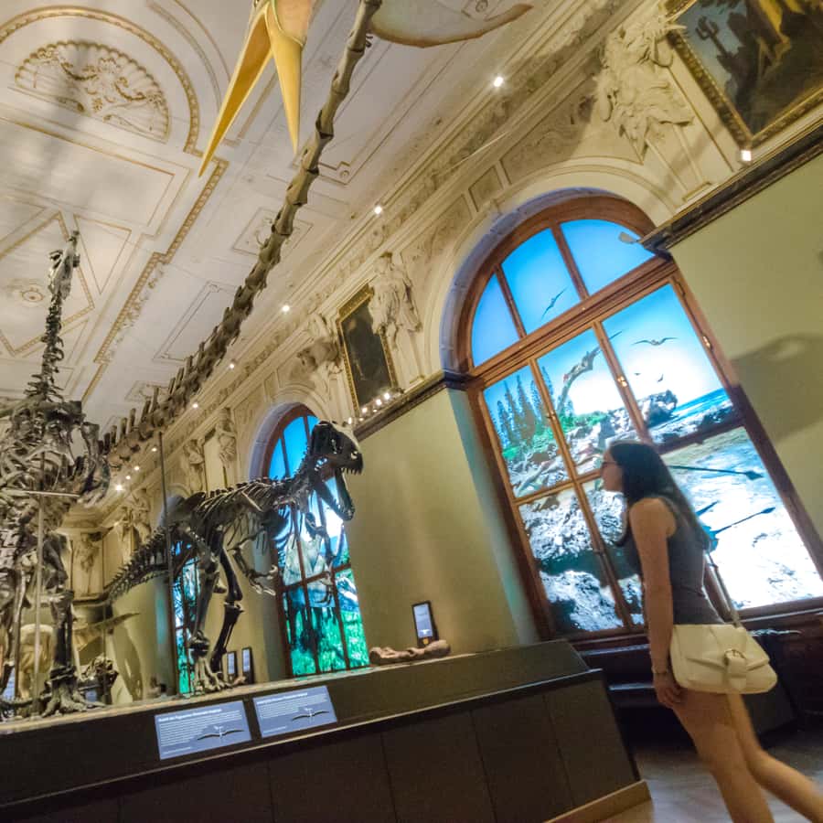 Galerie média