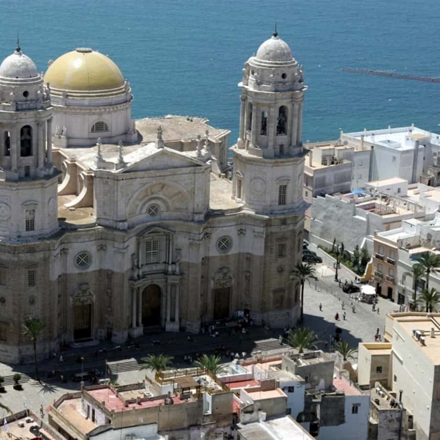Galería de fotos para redes