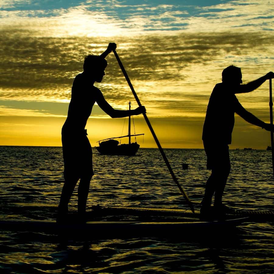 Paddle Board Rental: Glide on the Water with Ease
