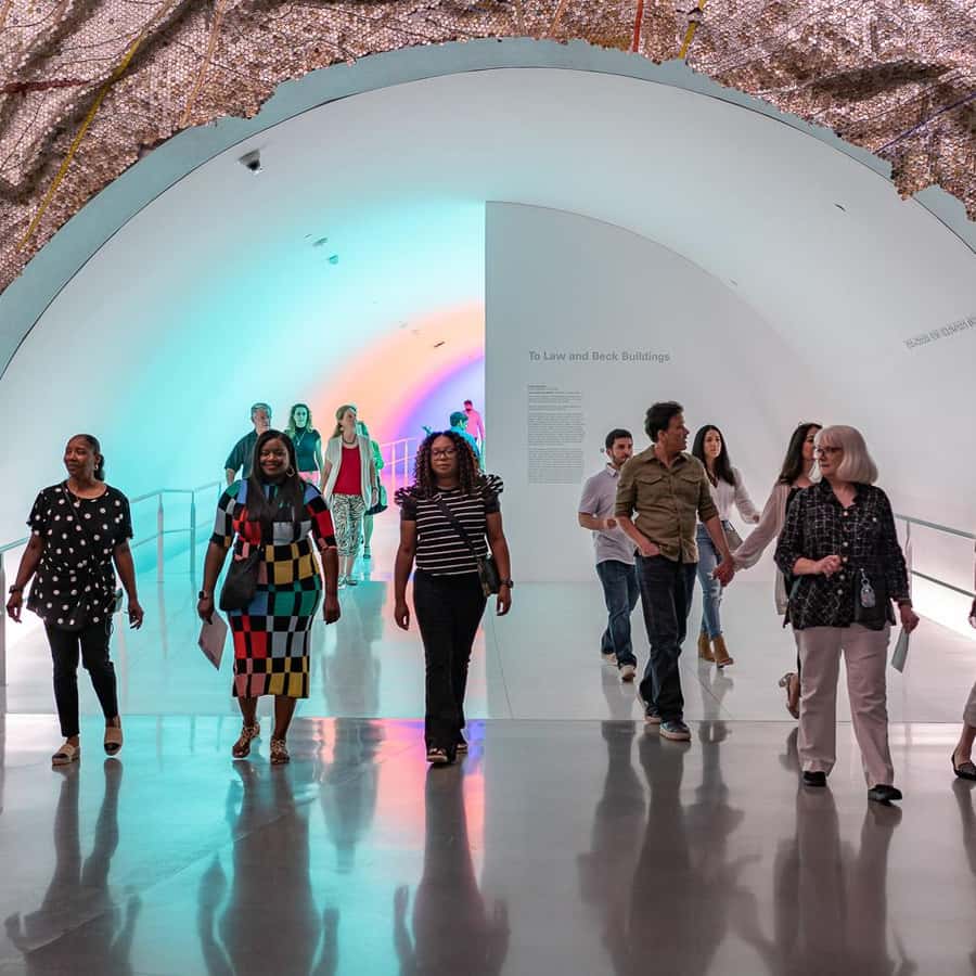 Houston: The Museum of Fine Arts, Houston All Access Ticket