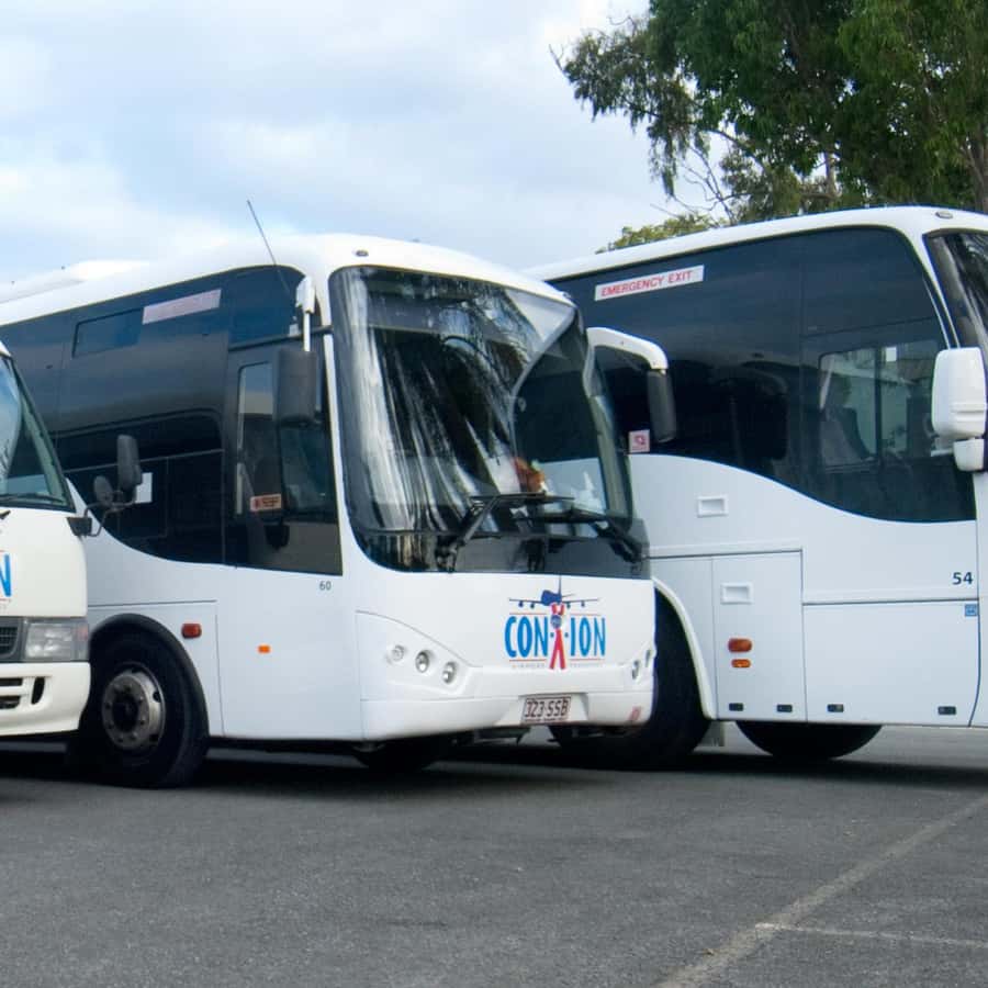 Brisbane Airport: Shared Transfer to Sunshine Coast GetYourGuide