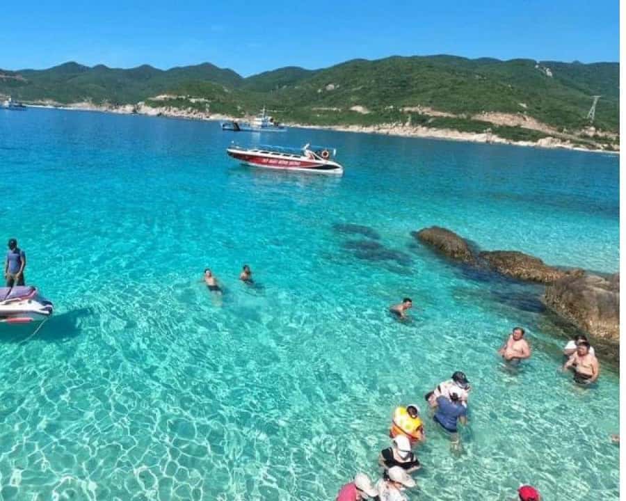 Galería de fotos para redes