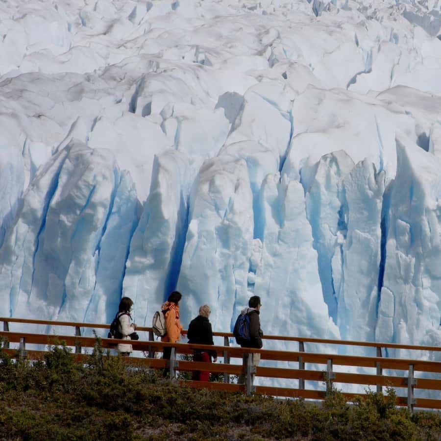 Galería de fotos para redes