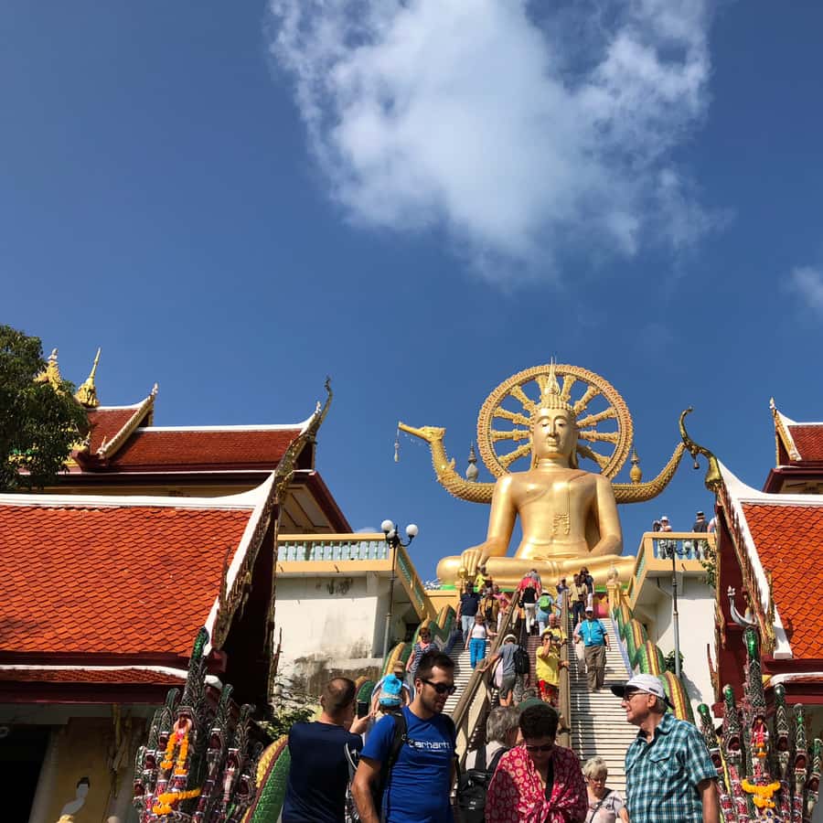 Koh Samui: 4x4 Off Road Island Safari Tour Including Lunch