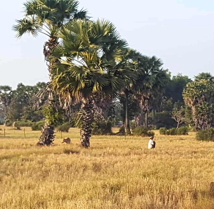 Colagem de mídia