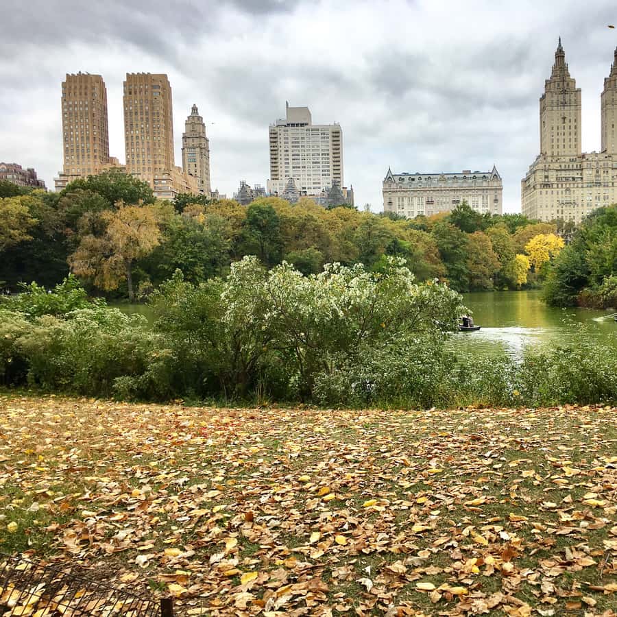 New York City: Central Park Tour by Pedicab GetYourGuide