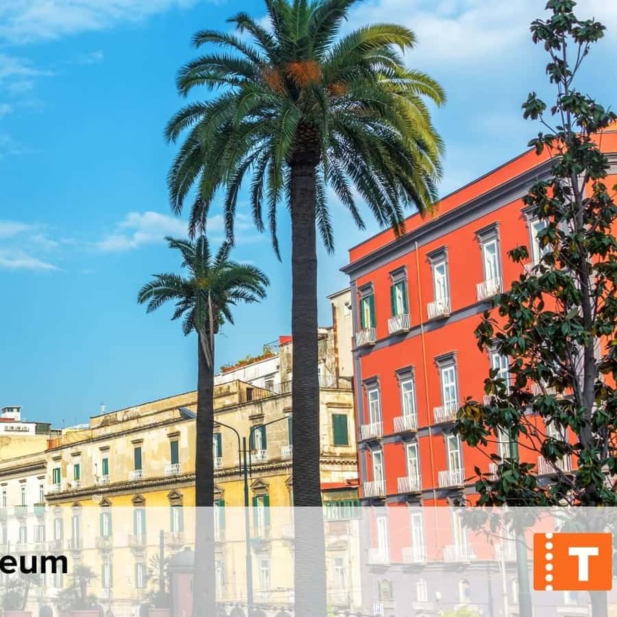 Galería de fotos para redes