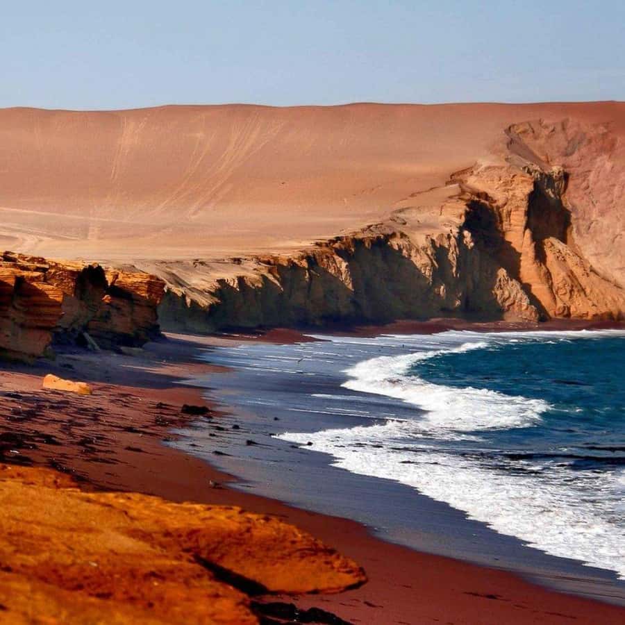 Galería de fotos para redes