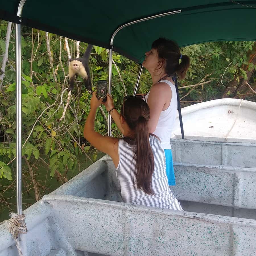 Colagem de mídia
