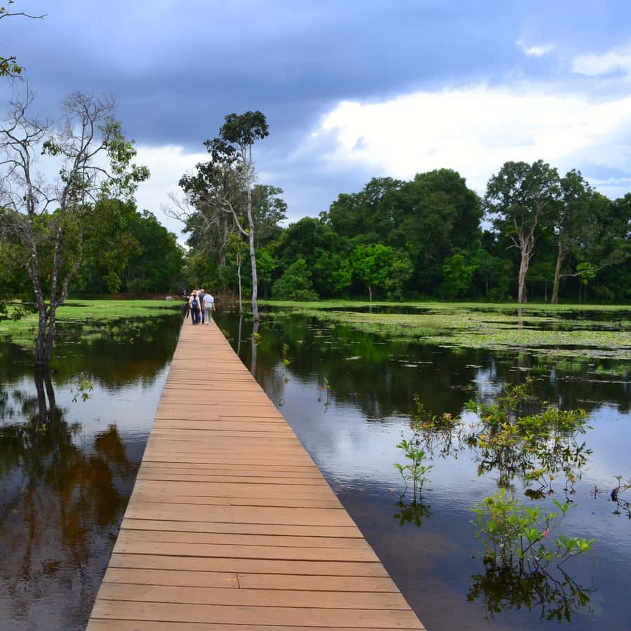 Colagem de mídia