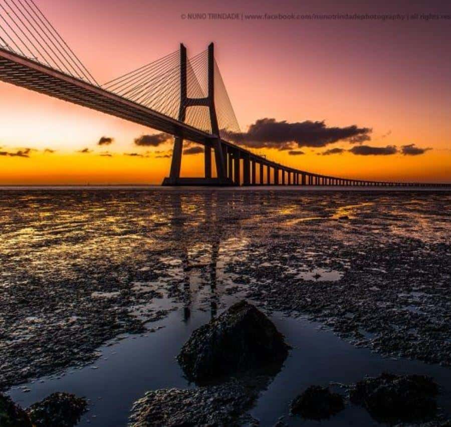 Colagem de mídia