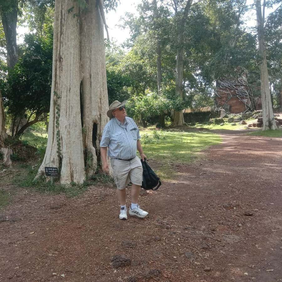 Colagem de mídia
