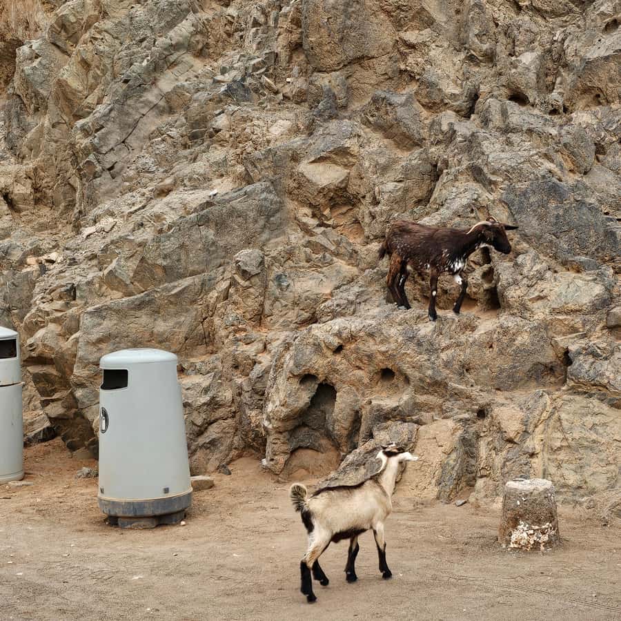 Galería de fotos para redes