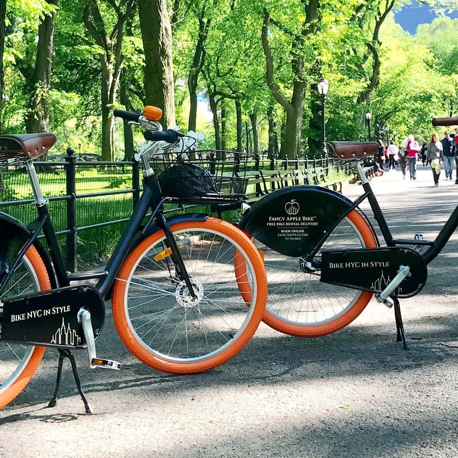 Central Park Apple E Bike 2025 Central Park NYC Electric Bike