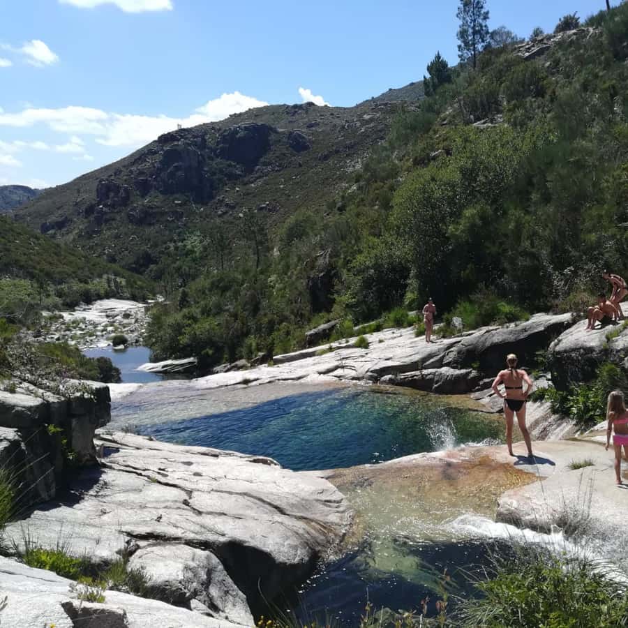 Colagem de mídia