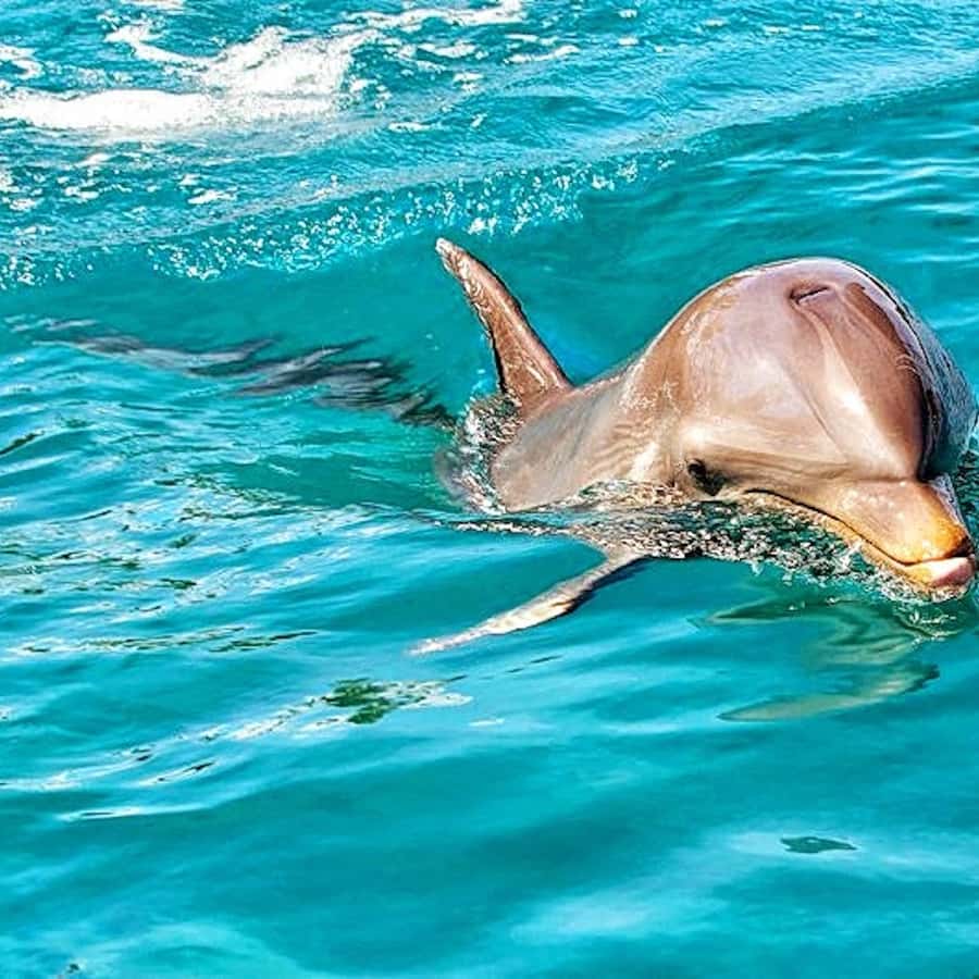 Todo se ve un poco raro\, image size:900x900