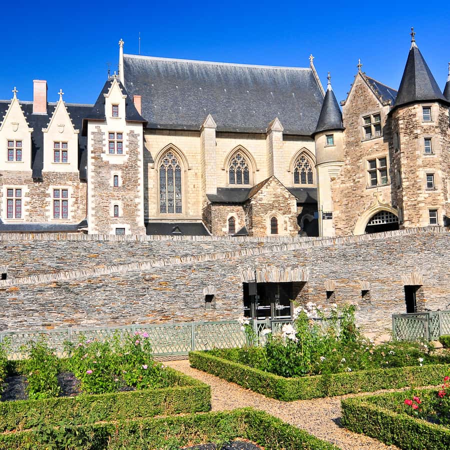 Galerie média