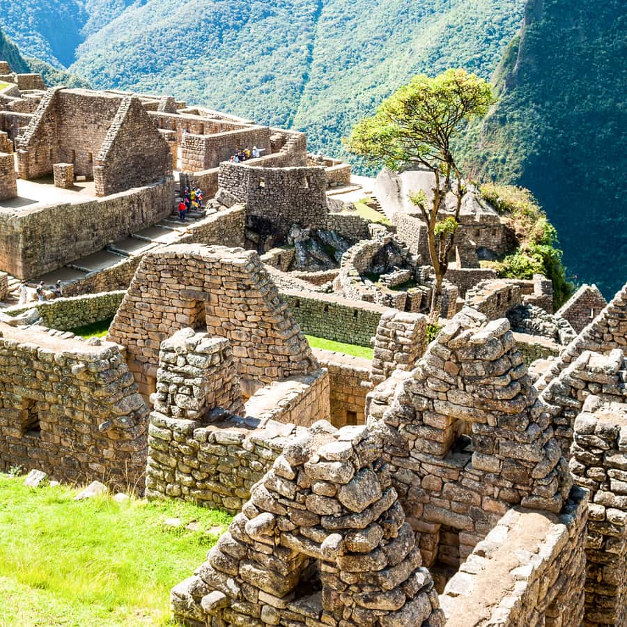 Colagem de mídia