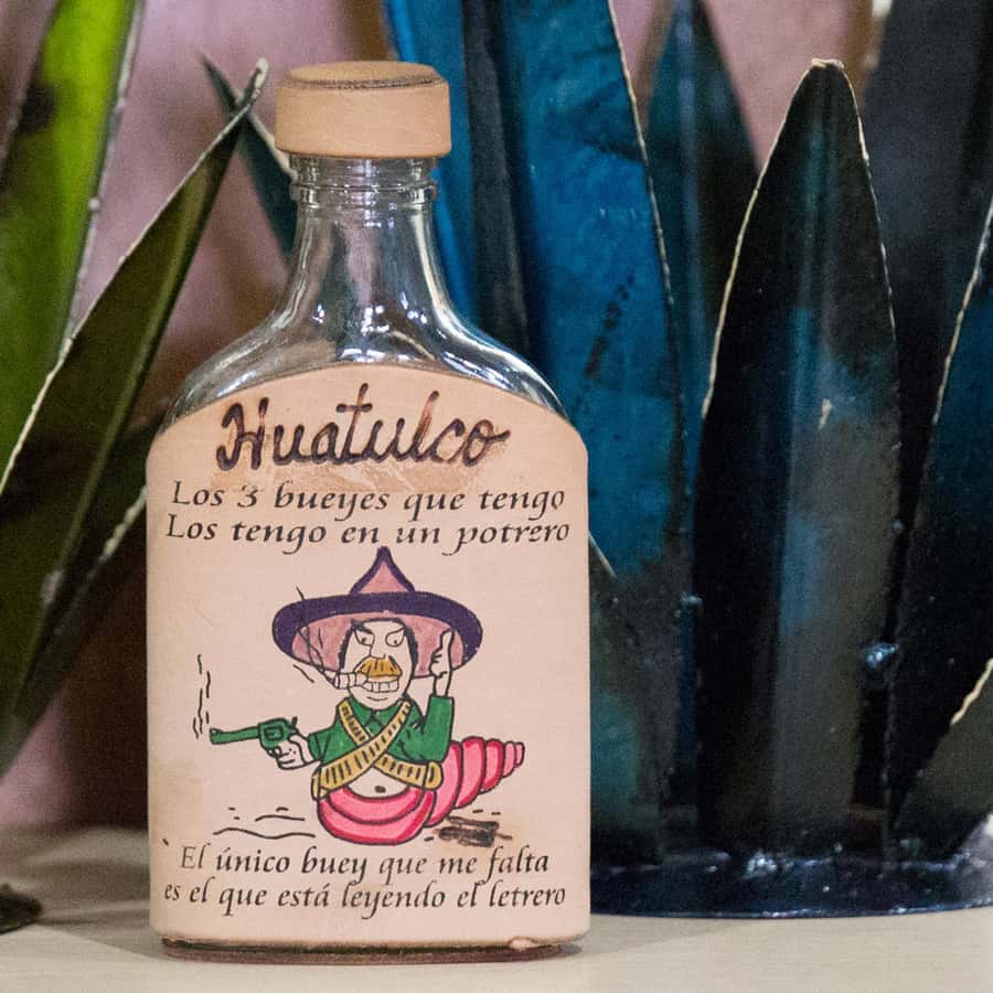 Galería de fotos para redes