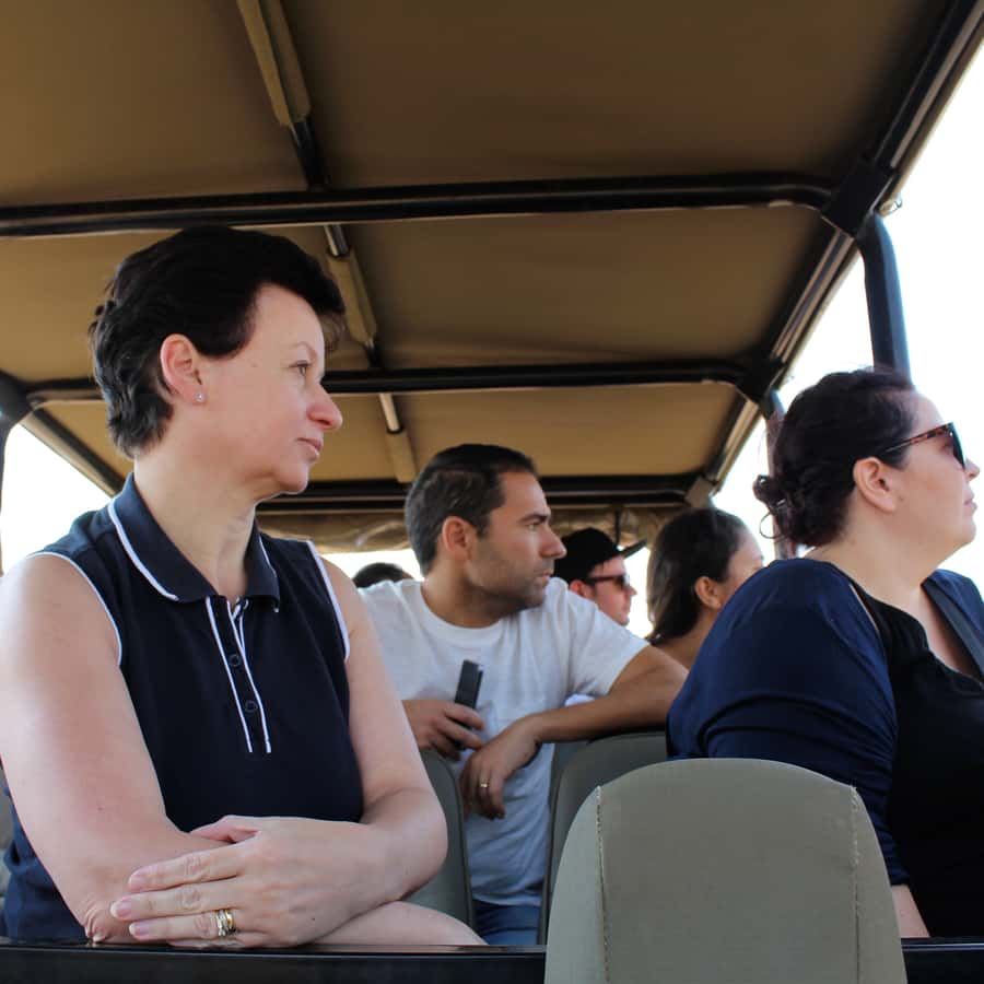 From Johannesburg: Pilanesberg Nature Reserve Game Safari