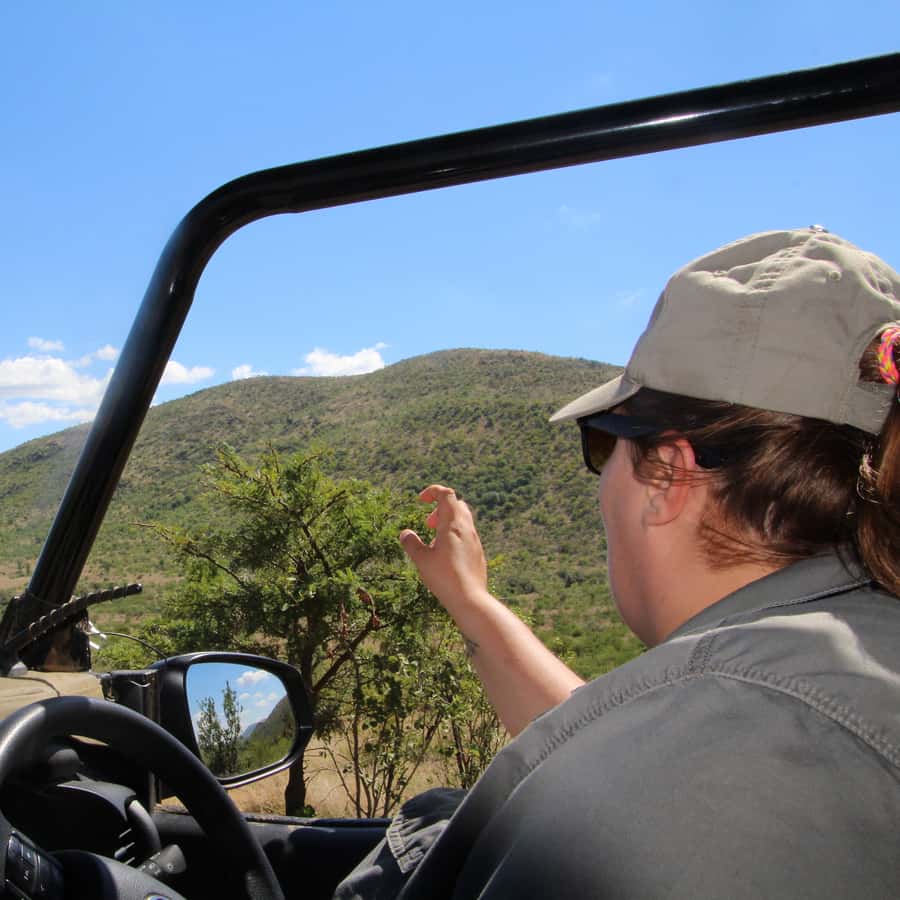 From Johannesburg: Pilanesberg Nature Reserve Game Safari