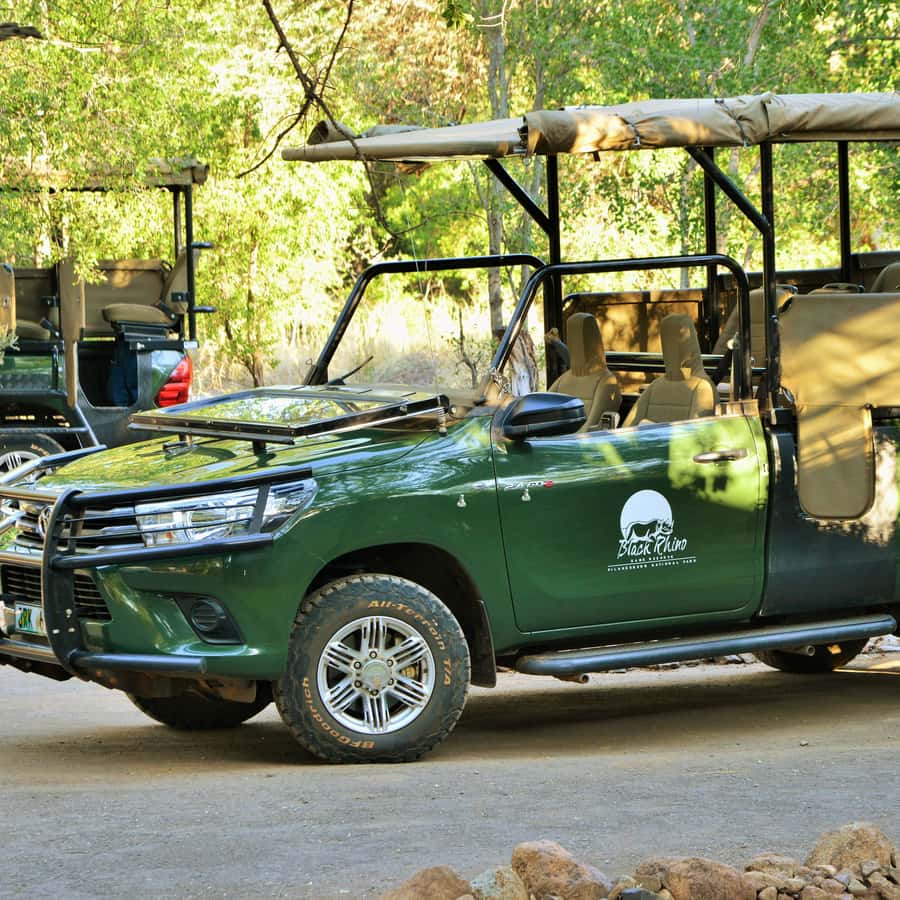 From Johannesburg: Pilanesberg Nature Reserve Game Safari