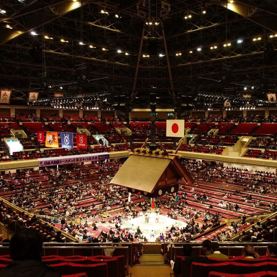 Grand Sumo Tournament w/ a Licenced Guide [Seat B】Jan. 2026
