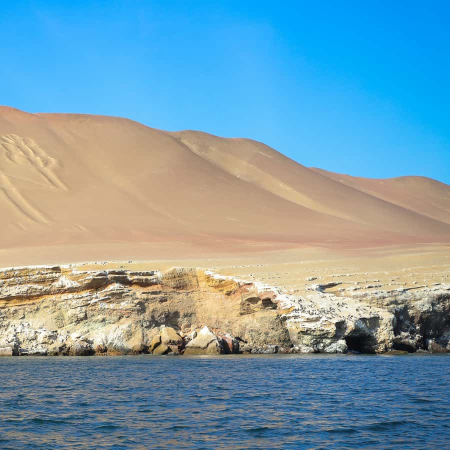 Galería de fotos para redes