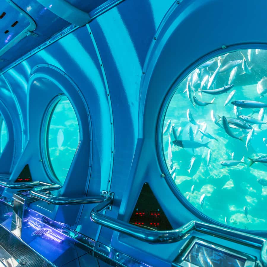 Puerto de Mogán: Submarine Tour