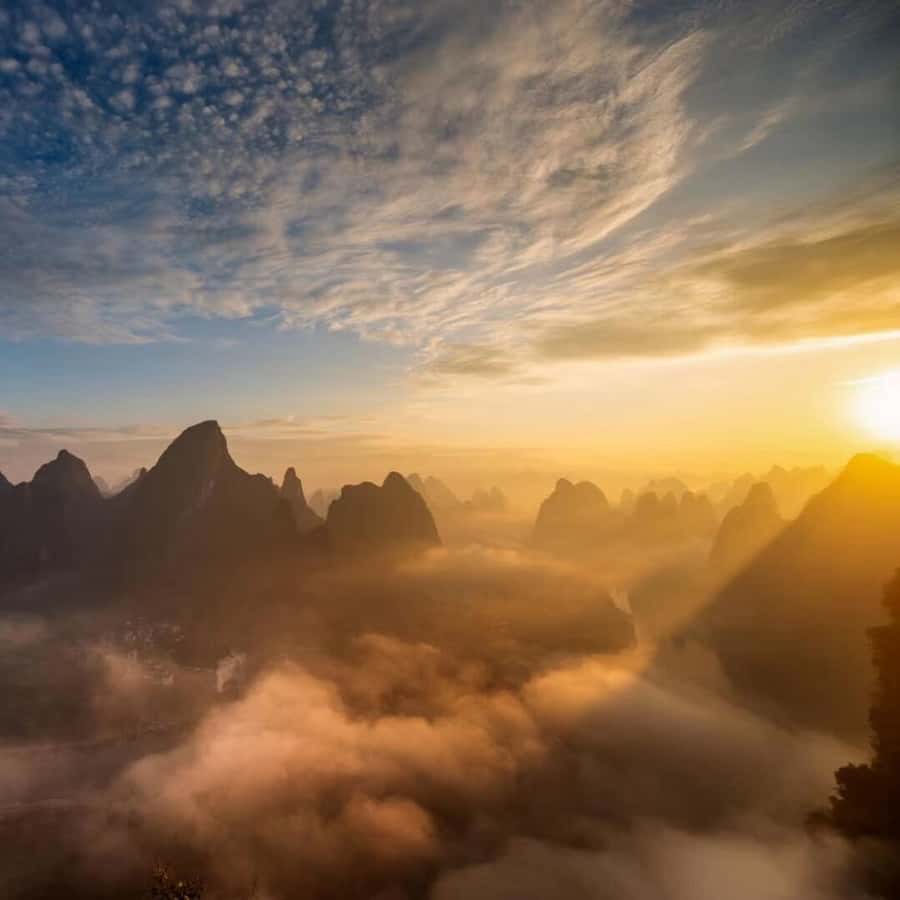 Galería de fotos para redes